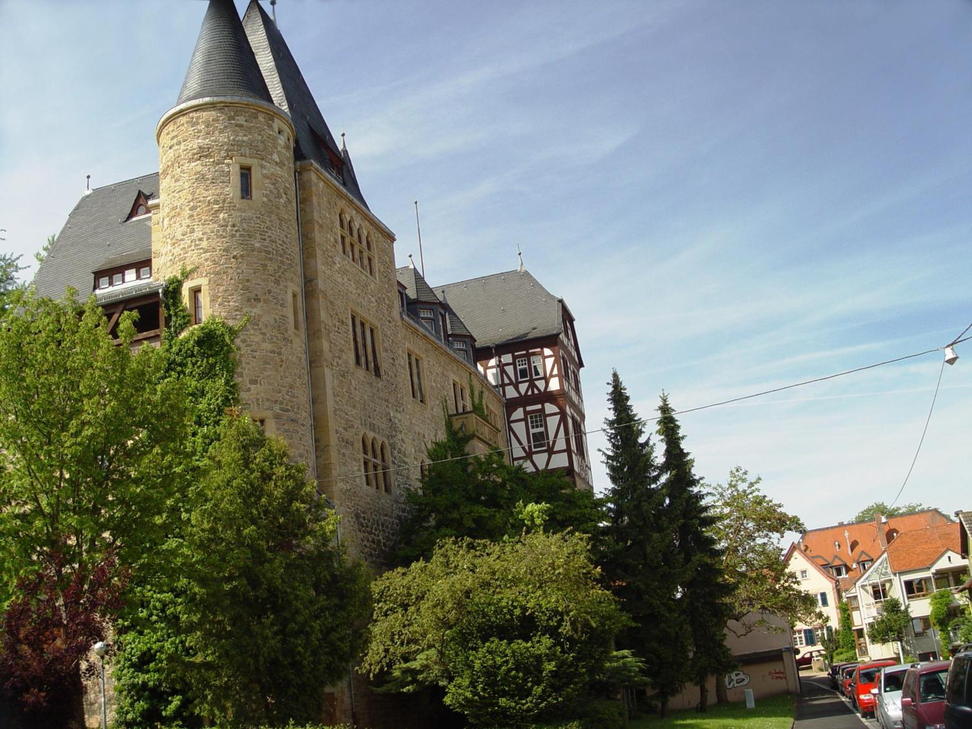 2 Zimmer Wohnung, Kueche, Bad, Balkon, Netflix Alzey Exterior foto