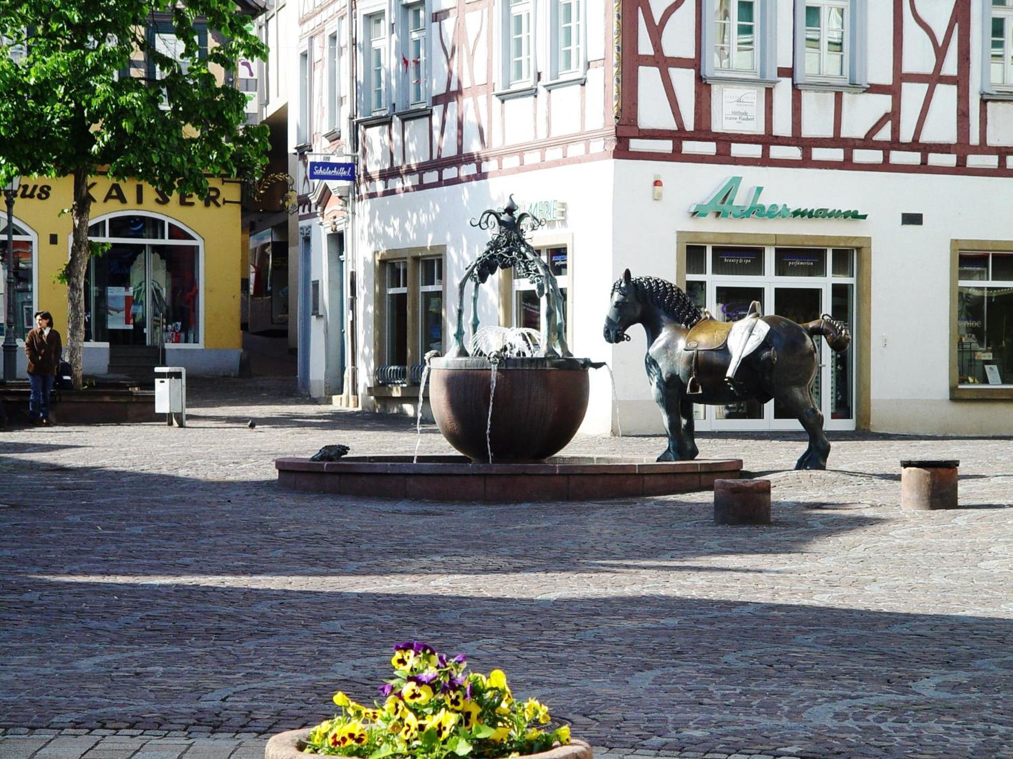 2 Zimmer Wohnung, Kueche, Bad, Balkon, Netflix Alzey Exterior foto